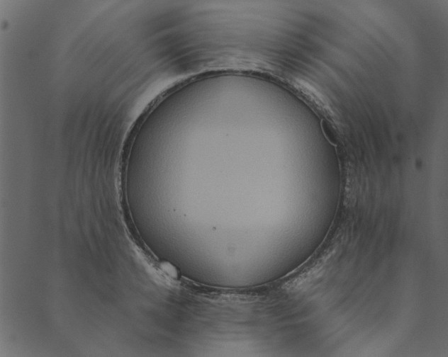 X0000089670942200707121220