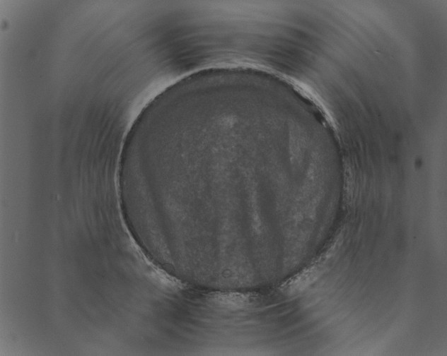 X0000089670943200707121220