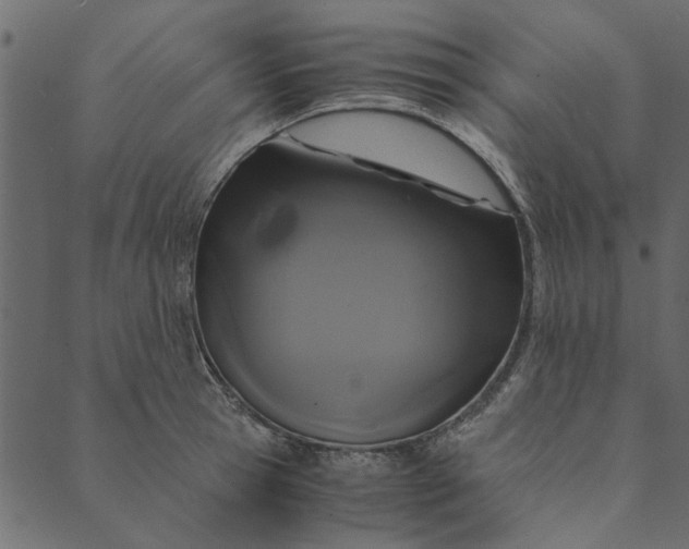 X0000089670945200707121220