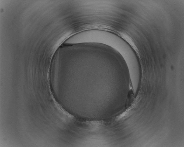 X0000089670946200707121220