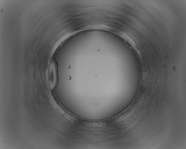 X0000089670947200707121220