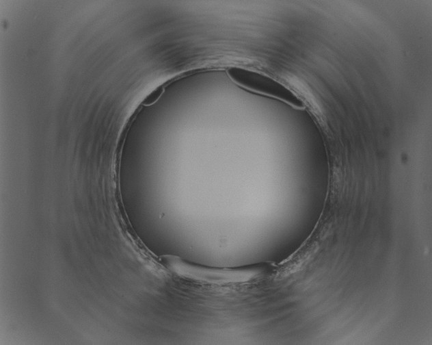 X0000089670948200707121220