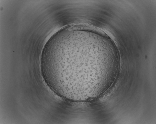 X0000089670949200707121220