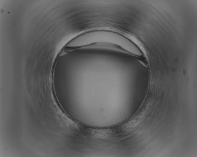 X0000089670951200707121220