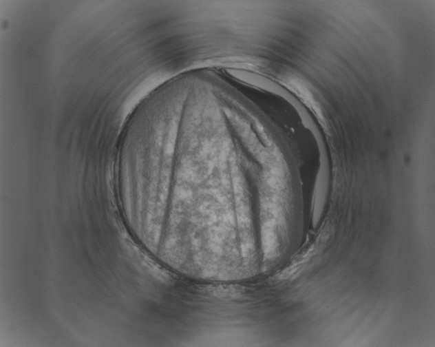 X0000089670952200707121220