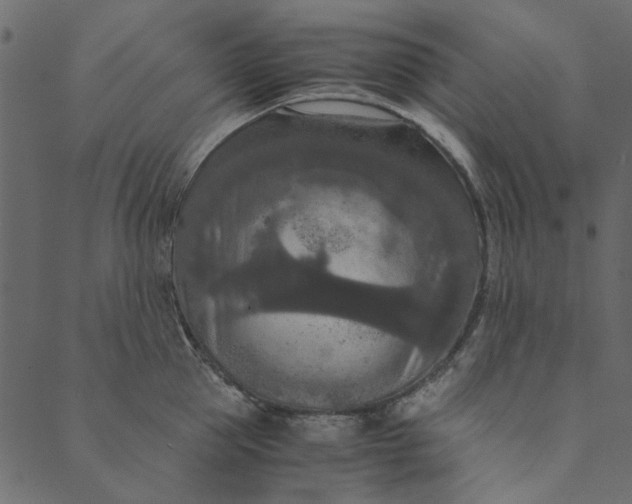 X0000089670953200707121220