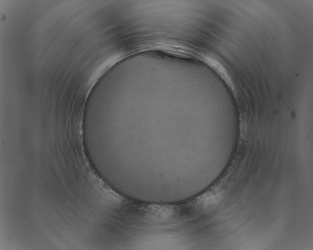 X0000089670954200707121220