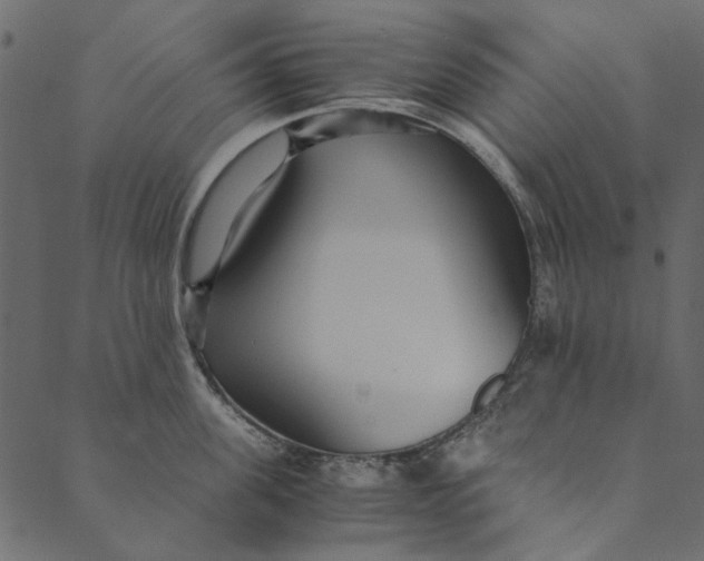 X0000089670955200707121220