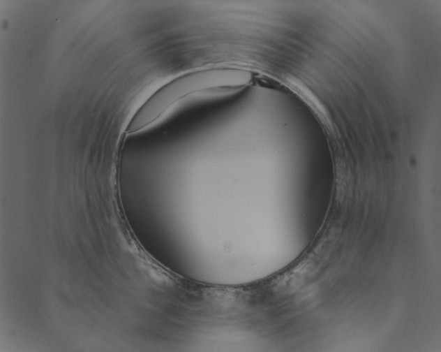 X0000089670956200707121220