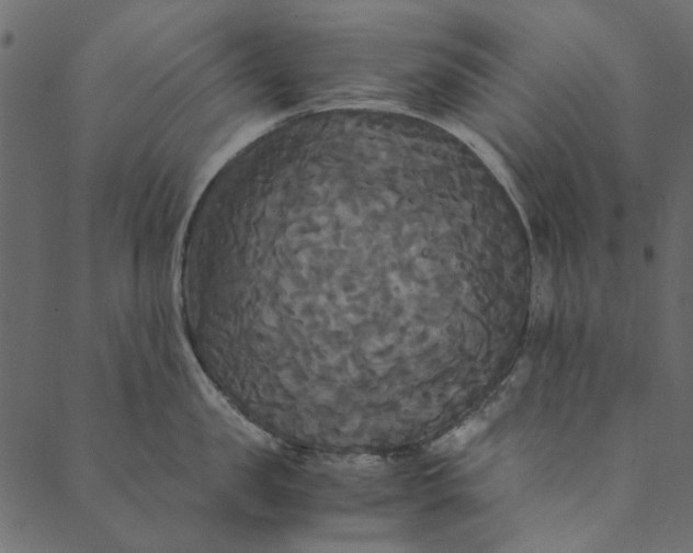 X0000089670957200707121221