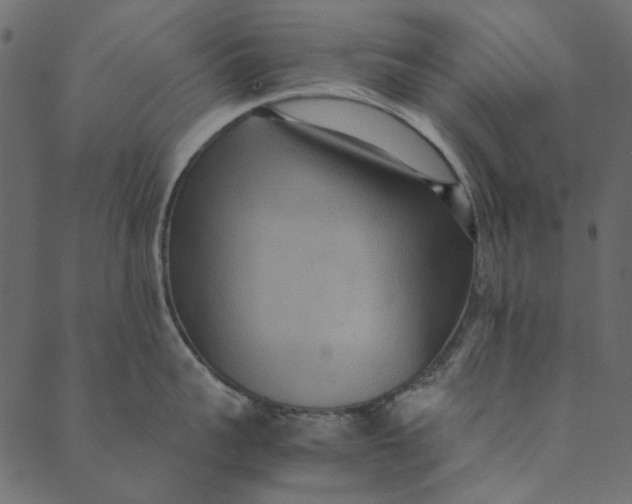 X0000089670959200707121221