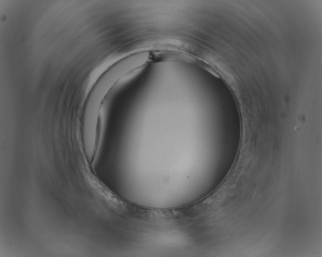 X0000089670960200707121221