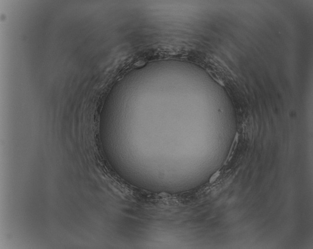 X0000089670961200707121220