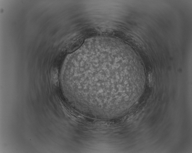 X0000089670963200707121220