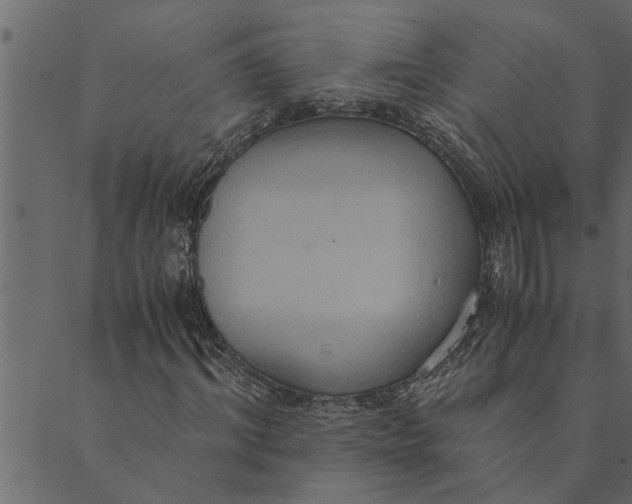 X0000089670964200707121220