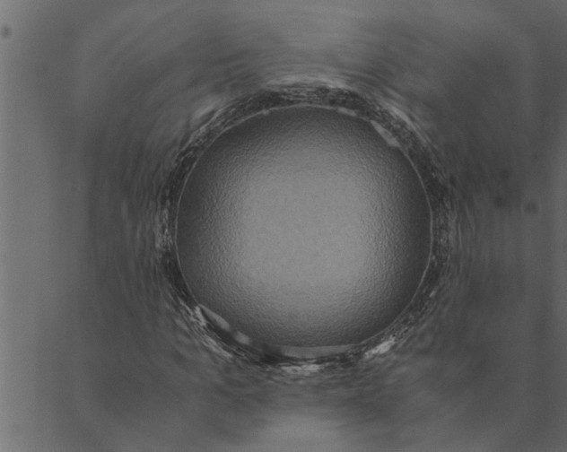 X0000089670965200707121220