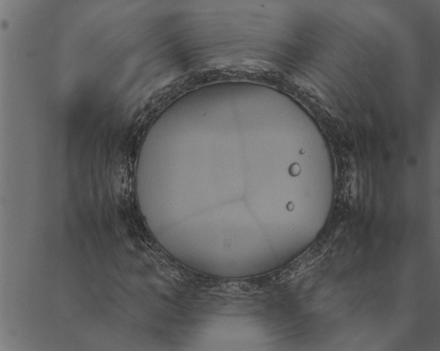 X0000089670966200707121220