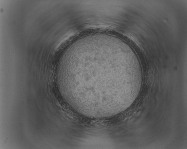 X0000089670967200707121220