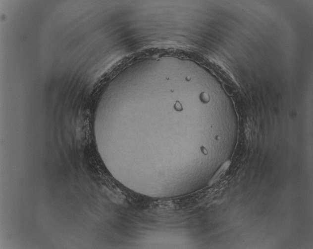 X0000089670968200707121220