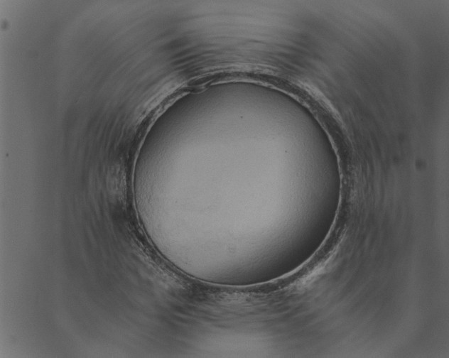 X0000089670969200707121220