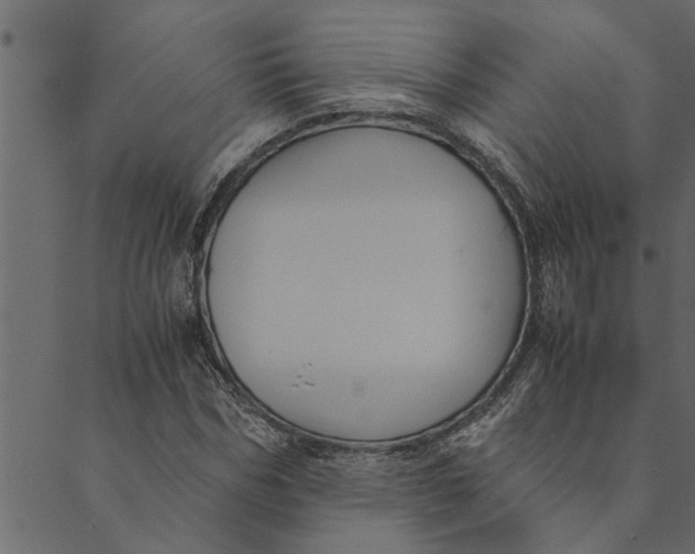 X0000089670970200707121220