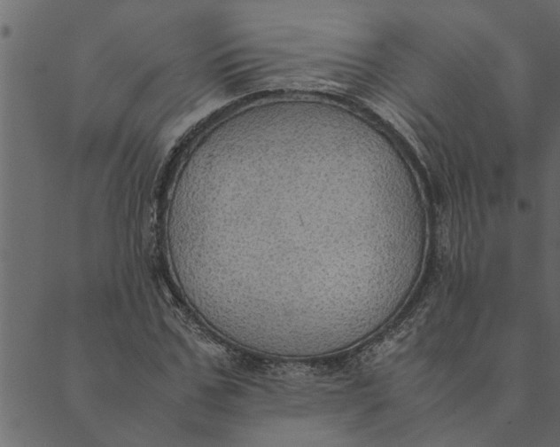 X0000089670971200707121220