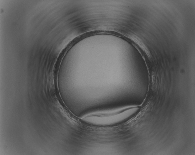 X0000089670972200707121220