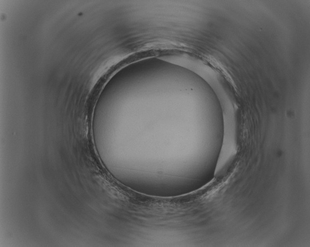 X0000089670973200707121220