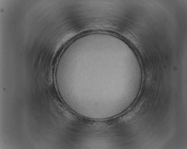 X0000089670974200707121220