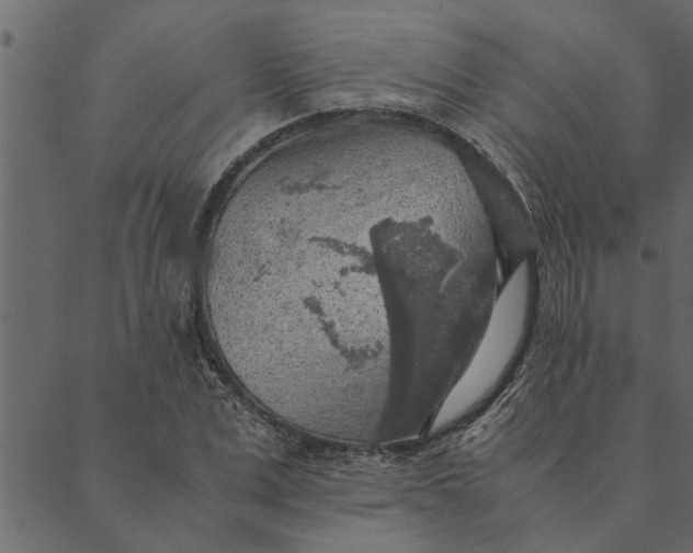 X0000089670975200707121220