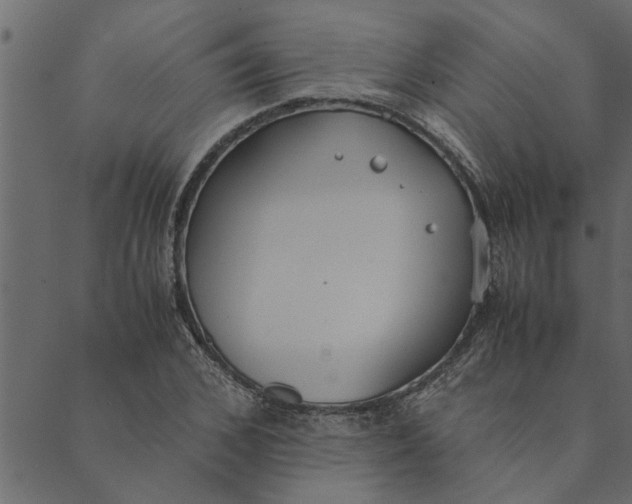 X0000089670976200707121220