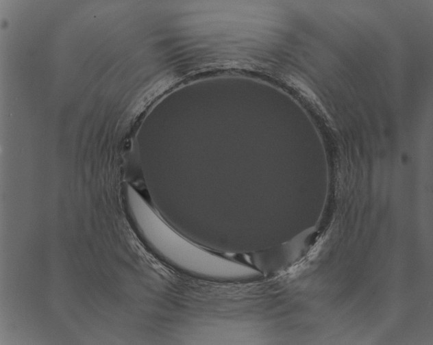 X0000089670977200707121220