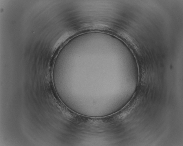 X0000089670978200707121219