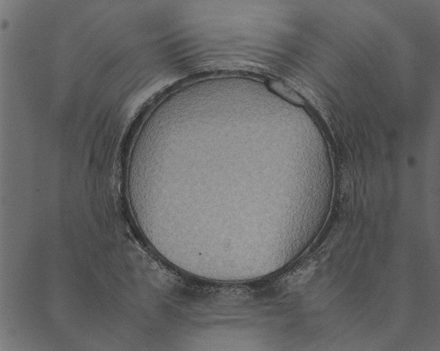 X0000089670979200707121219