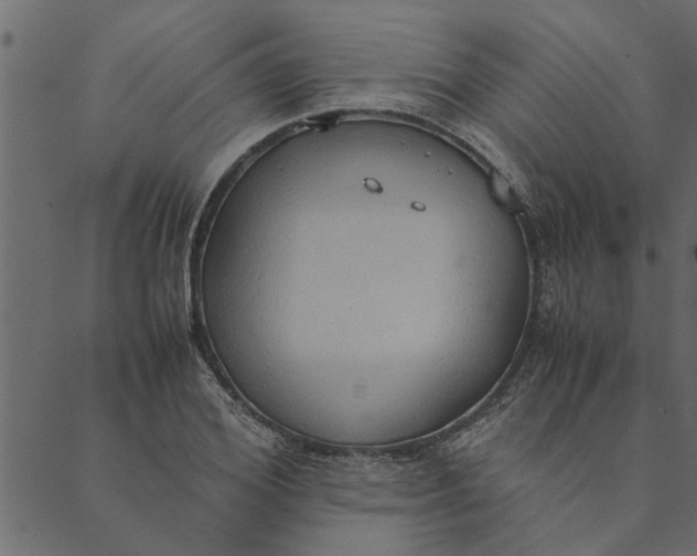 X0000089670980200707121219