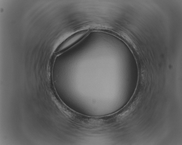 X0000089670981200707121219