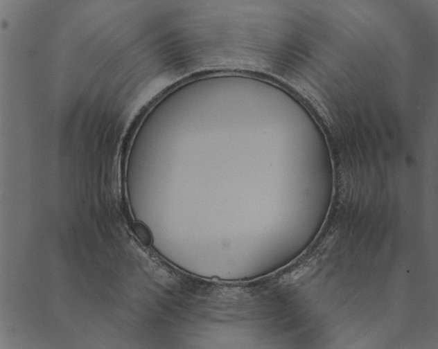 X0000089670982200707121219