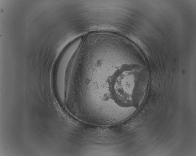 X0000089670983200707121219