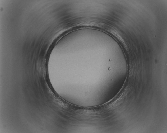 X0000089670984200707121219