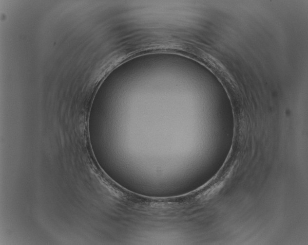 X0000089670985200707121219