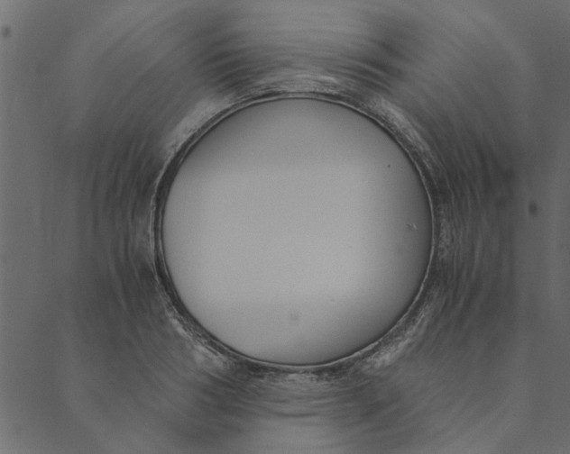 X0000089670986200707121219