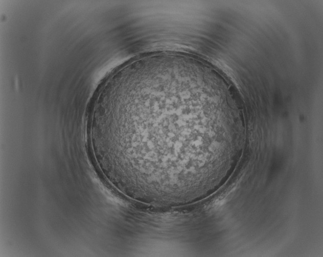 X0000089670987200707121219