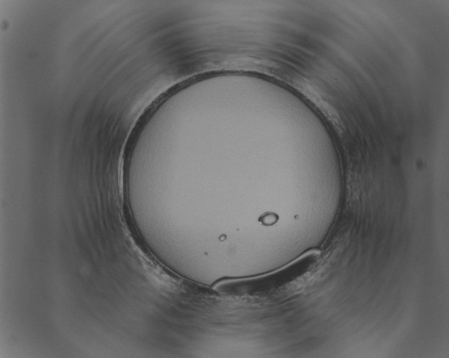 X0000089670988200707121219