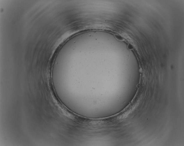 X0000089670989200707121219