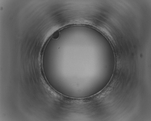 X0000089670990200707121219