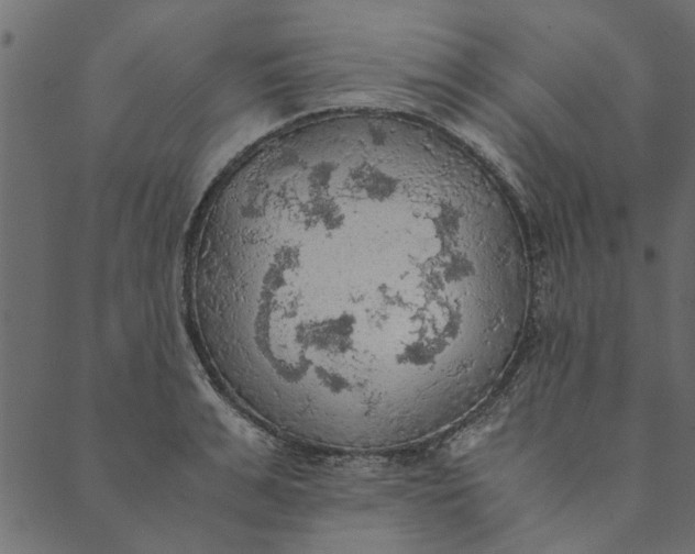 X0000089670991200707121219