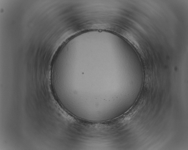 X0000089670992200707121219