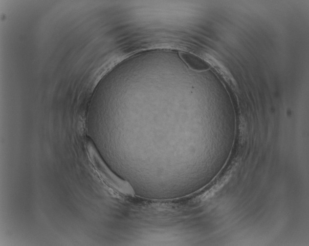 X0000089670993200707121219