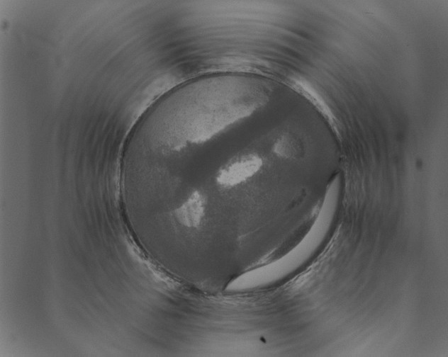 X0000089670994200707121219