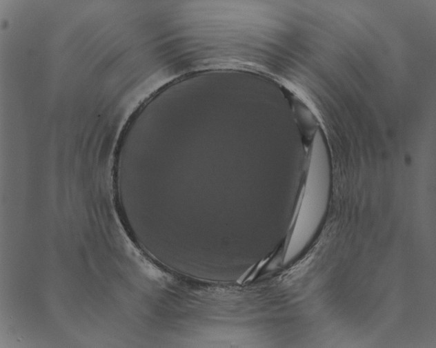 X0000089670995200707121219